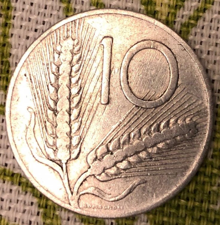 moneta 3.jpg