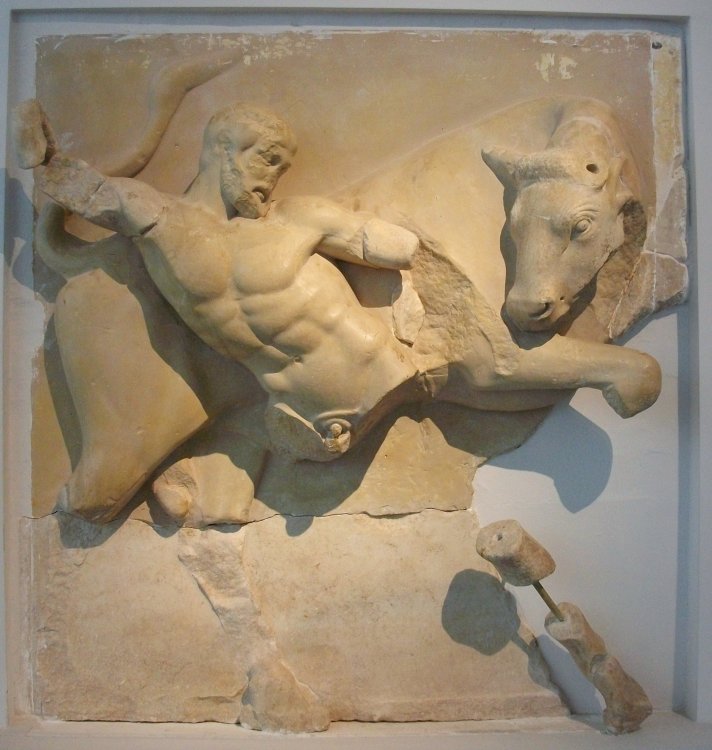 Mètopa_del_temple_de_Zeus_d'Olímpia_amb_representació_del_bou_de_Creta_(Museu_Arqueològic_d'Olímpia).JPG