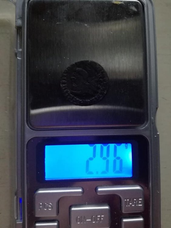 56119429_10216879192846171_2377955132156411904_n.jpg