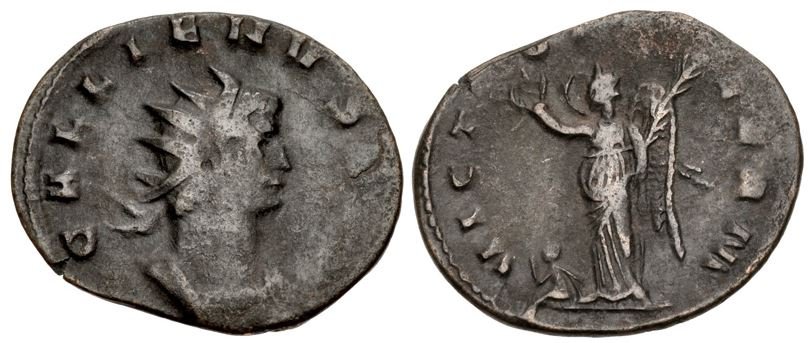 norman2.jpg.c36ff0551e24696ebb1fc57ff9049179.jpg