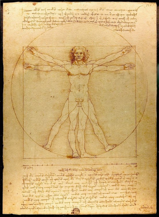 Da_Vinci_Vitruve_Luc_Viatour3.jpg