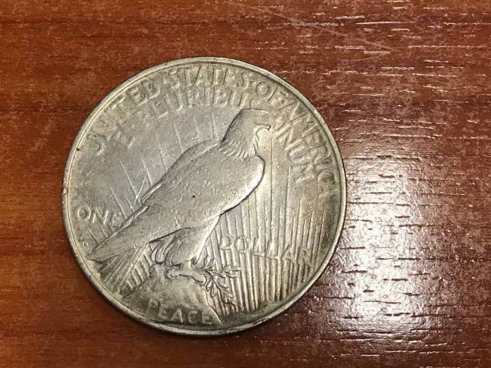 1600019817_OneDollar1922rear.thumb.JPG.dc635bb44f52eebe9a081b25222d28b7.JPG