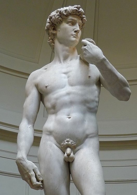 567818904_David_by_Michelangelo_JBU01.thumb.jpg.5b525703d11b71470caa5055034ff2ce.jpg