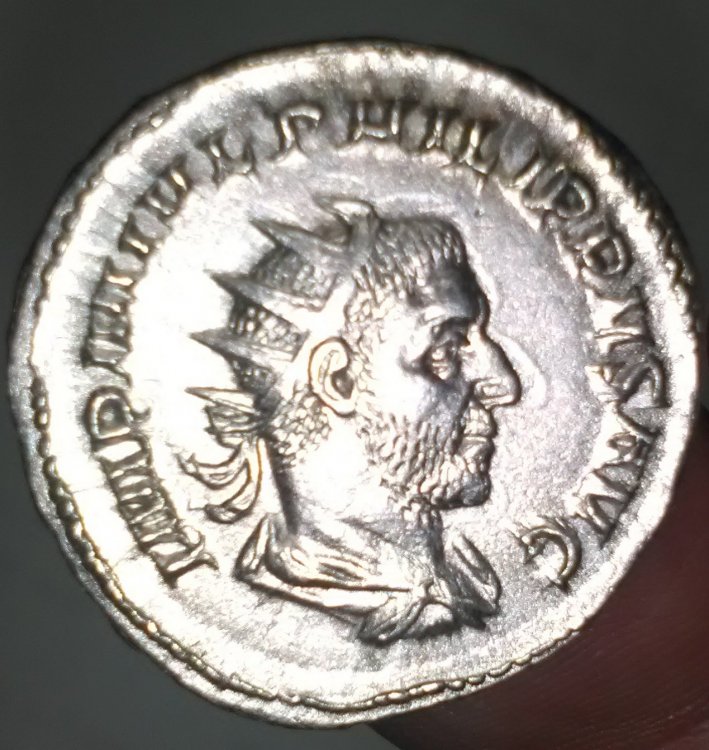 filippo fronte.jpg
