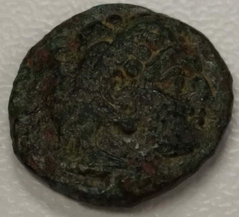 greca_d_12mm_small.jpg