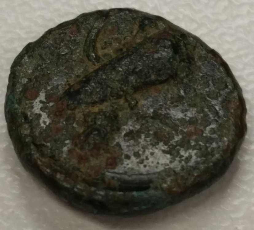 greca_r_12mm_small.jpg