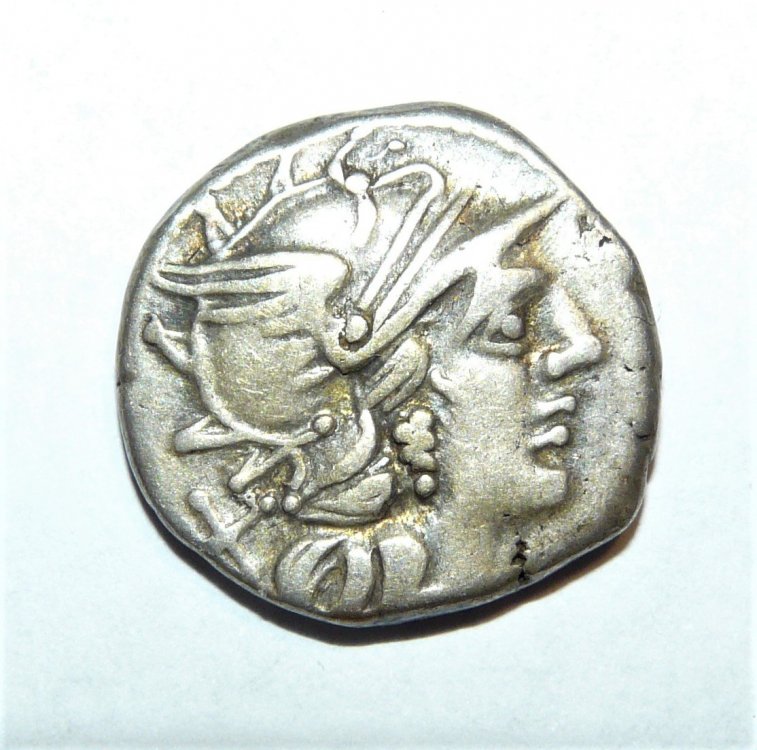 RRC 231-1  (1).JPG