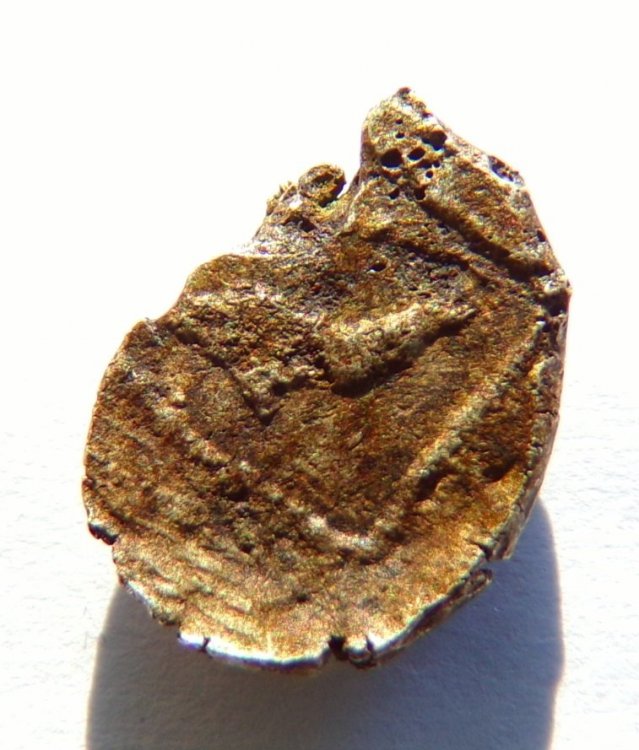 326_1205.JPG