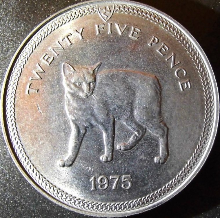 1272769962_GRANBRETAGNA_ISOLADIMANN_25PENCE_r_resize.thumb.jpg.2ddcd018e7d258dcb15775bfd7218f50.jpg