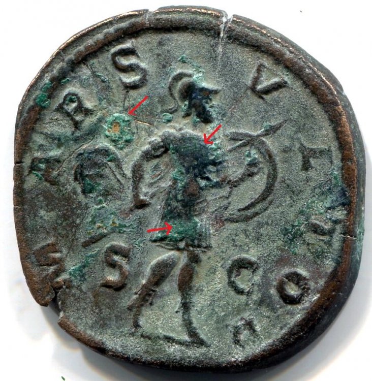 1841585991_ROMANA_ALESSANDROSEVERO_BACK_005_EV.thumb.jpg.fb91a1b79225a55585171630fa00b576.jpg
