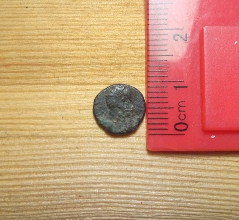 Unknown-12.thumb.jpeg.3d73ef011a6beba2217d9e34d3eda6f2.jpeg
