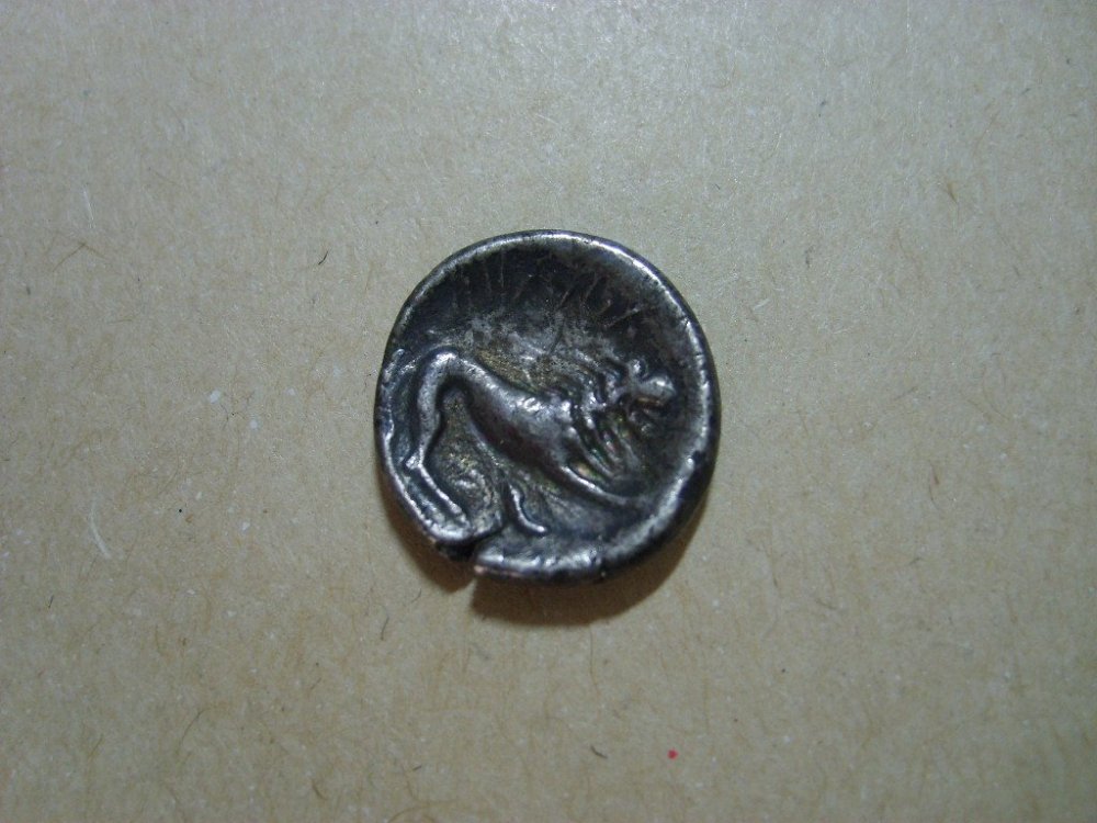 S6000496.JPG