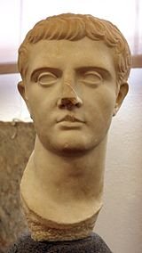Druso_maggiore,_1-50_dc_ca,_da_roselle_01.JPG
