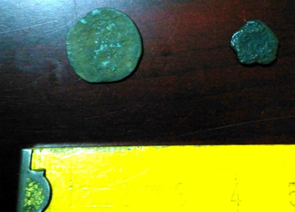 IMG_20200718_073010.jpg