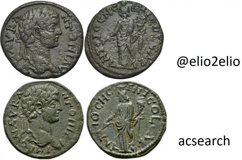 1987145193_caracalla1.thumb.jpg.c57286fa719ad2a6f57a7e56611f5e24.jpg