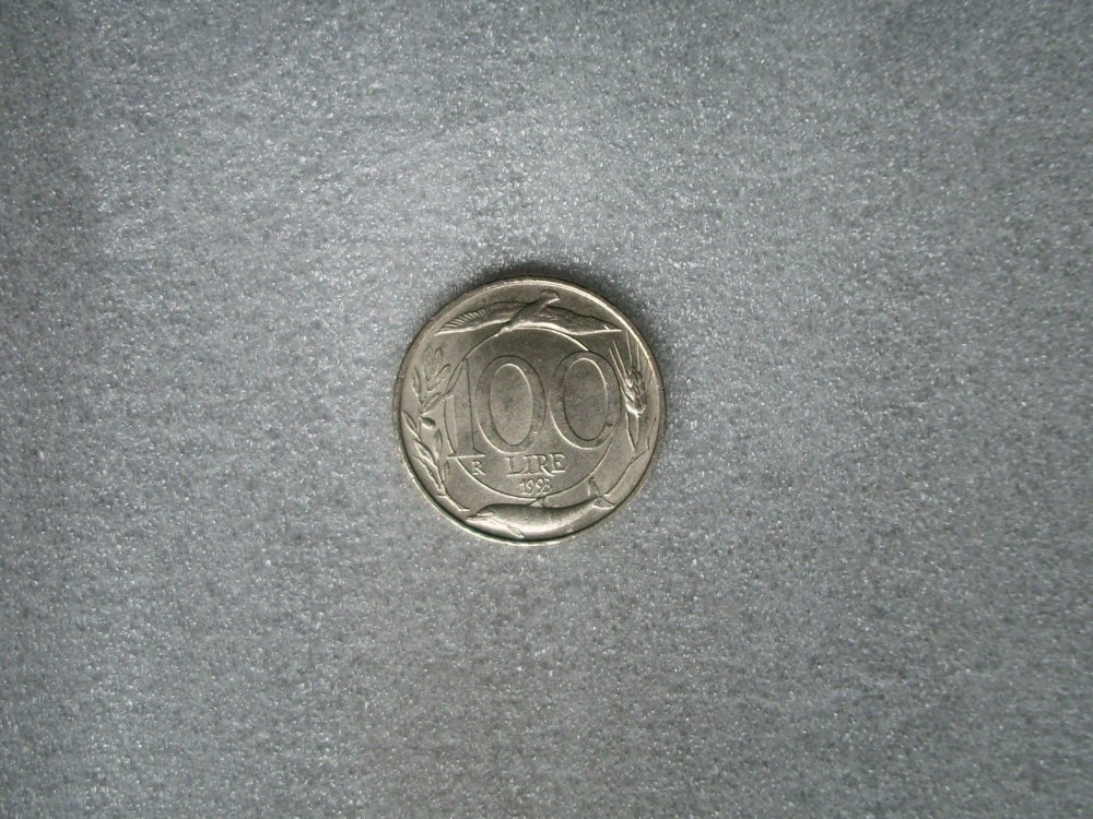 DSCI0065C.jpg
