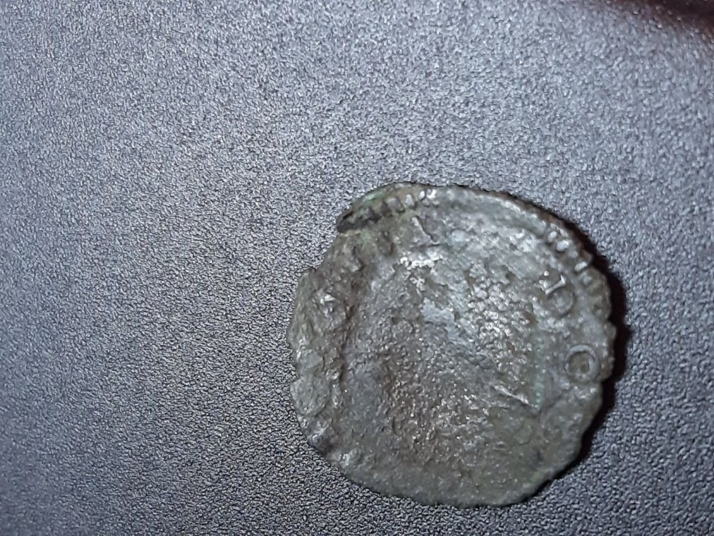 20200925_134059_compress85.jpg