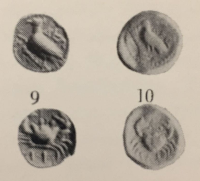 B9B10.thumb.JPG.ff84b844c3f880e825b63fef020dff96.JPG