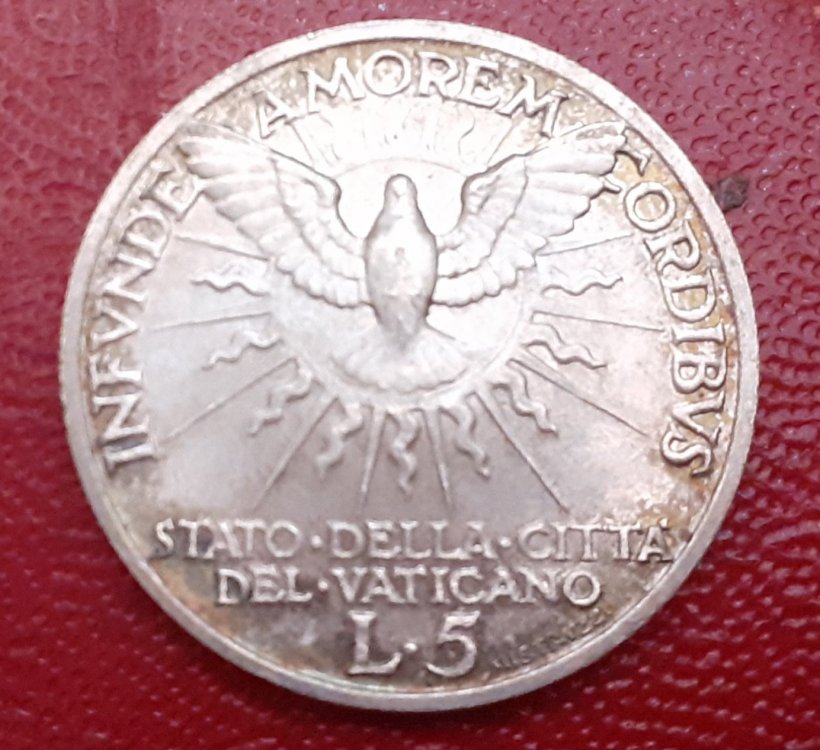 20201117_175704.jpg