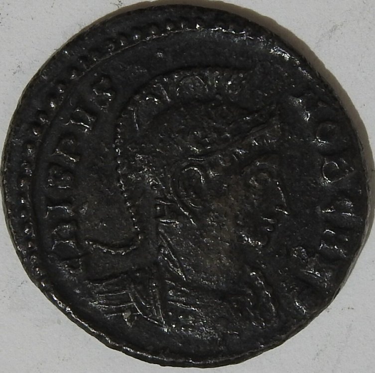 DSCN2525_1.jpg