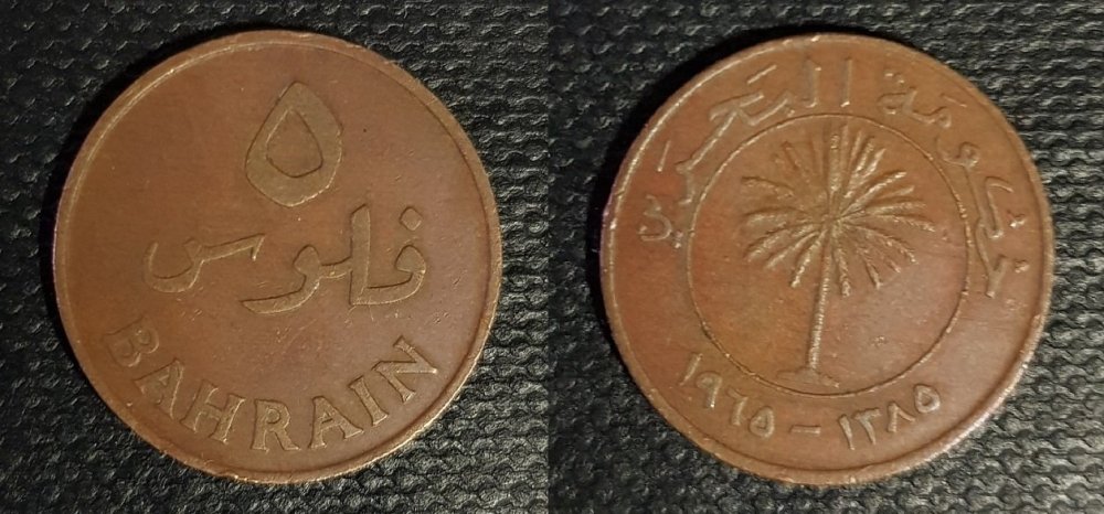 518385558_5filsbahrein.thumb.jpg.dd67259008ed1814f5f413685f6140ad.jpg