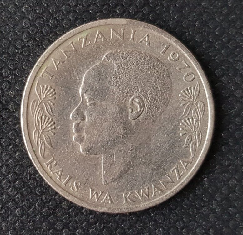 1619268409_50sentiTanzaniaR.thumb.jpg.f857a3f1e1bc53f9547754297802adbb.jpg