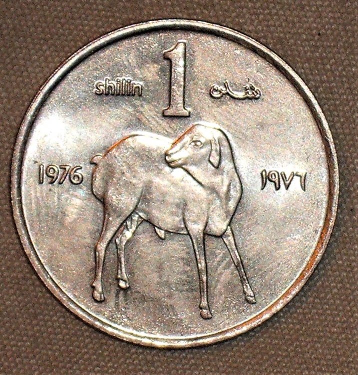 1 shilling 1976 r.JPG