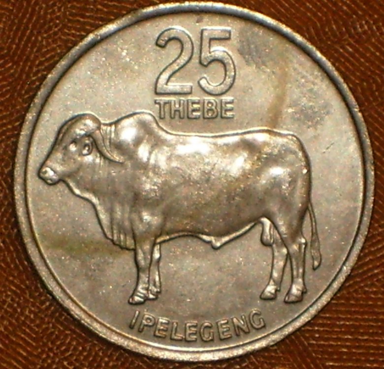 Botswana 25 thebe 1976 r .jpg