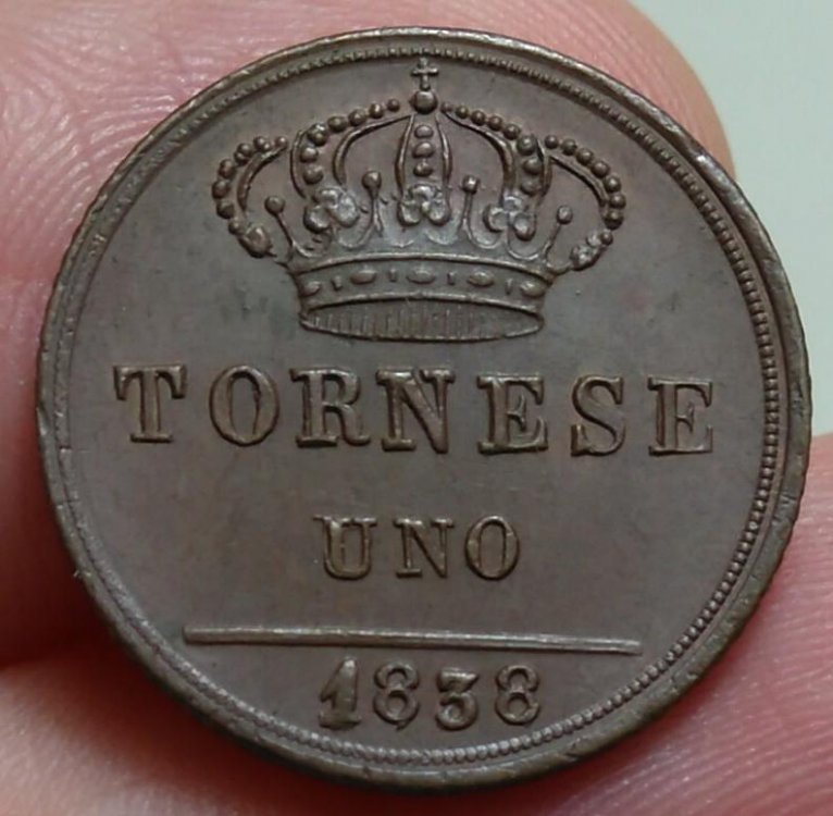 Tornese 1838 b.jpg