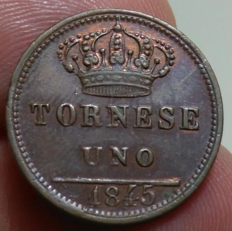 Tornese 1845 b.jpg