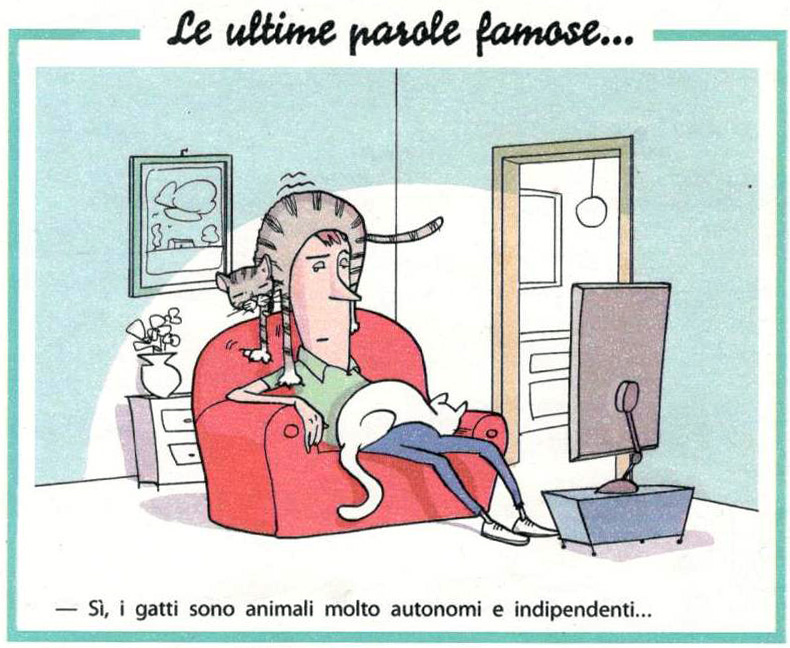 711545524_gattisettimanaenigmistica.jpg.fd8d00e272c4646adafdf3bb868e7678.jpg