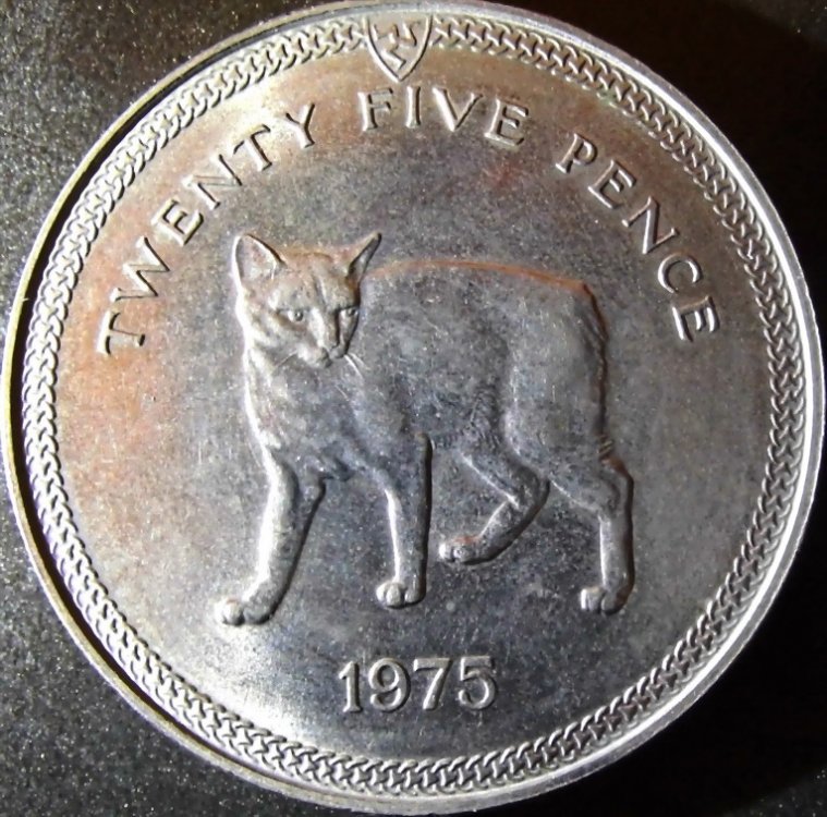 722113588_GRANBRETAGNA_ISOLADIMANN_25PENCE_r_resize.thumb.jpg.53802e02bd36d04dd137b41342cd1d6c.jpg