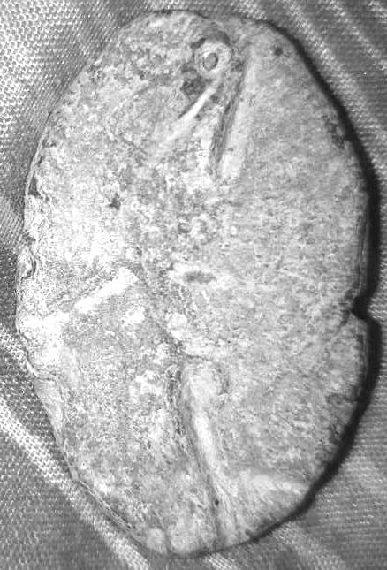 sca2.jpg.7b26daaa6f20ce55f8da2af91102b877.jpg