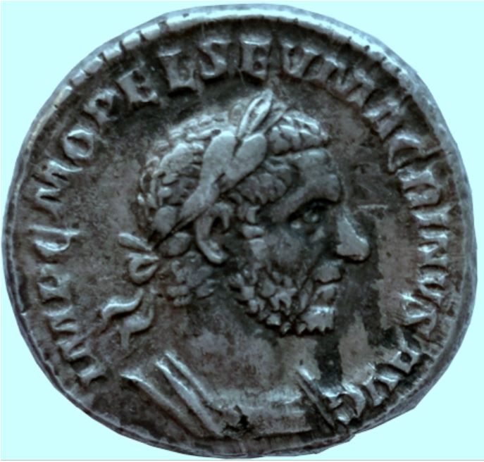 macrinus4.JPG.0aa0bd645b23a5131d0d4940245cf563.JPG