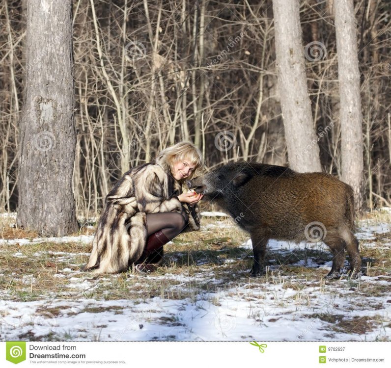 ragazza-bionda-con-il-cinghiale-9702637.jpg