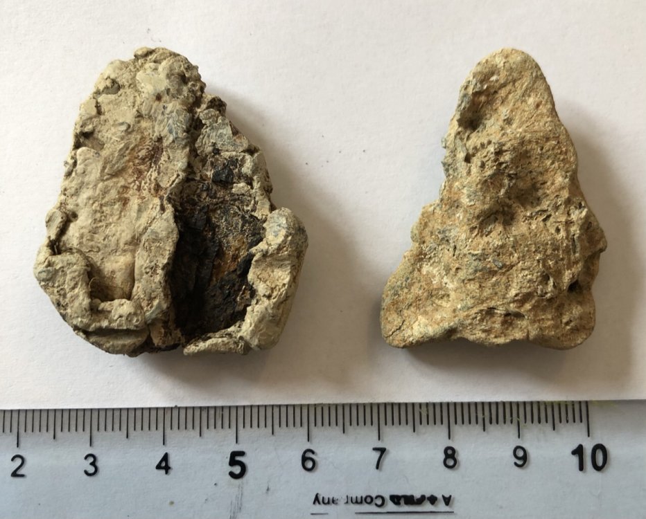 Aes Rude? Richiesta Identificazione/valutazione/autenticità