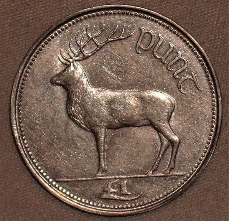 1 punt 1990 r.JPG