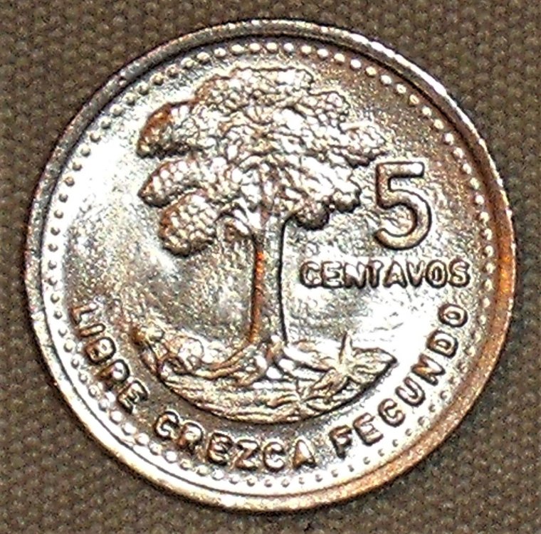 5 centavos 1991 r.JPG