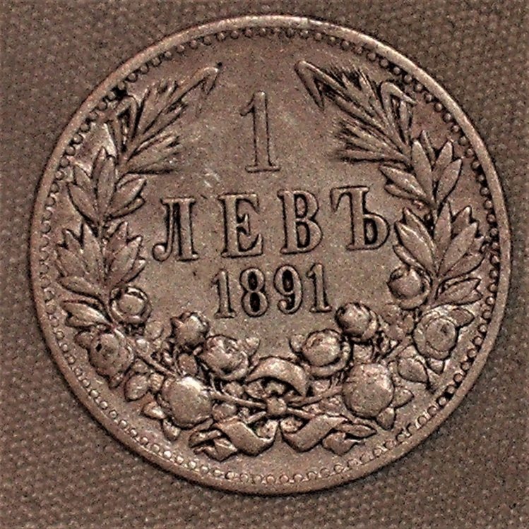 1 Lev 1891 r.JPG