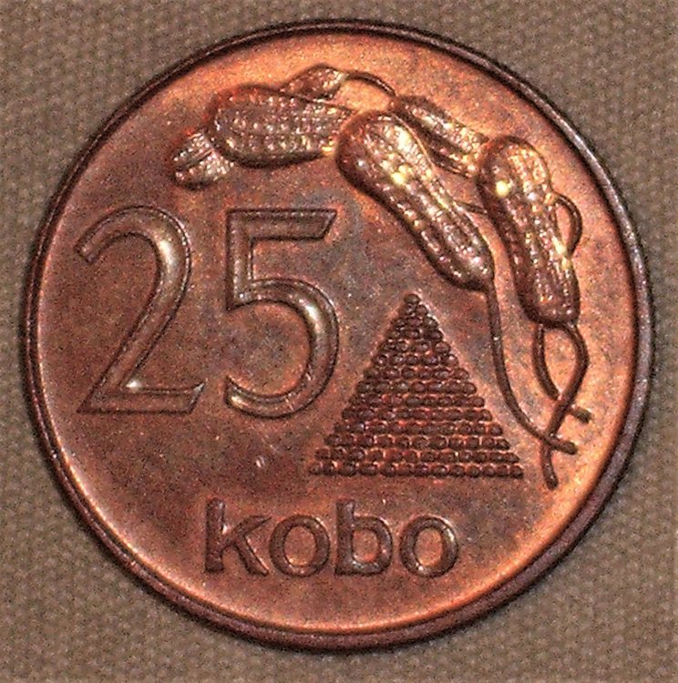 25 kobo 1991 r.JPG