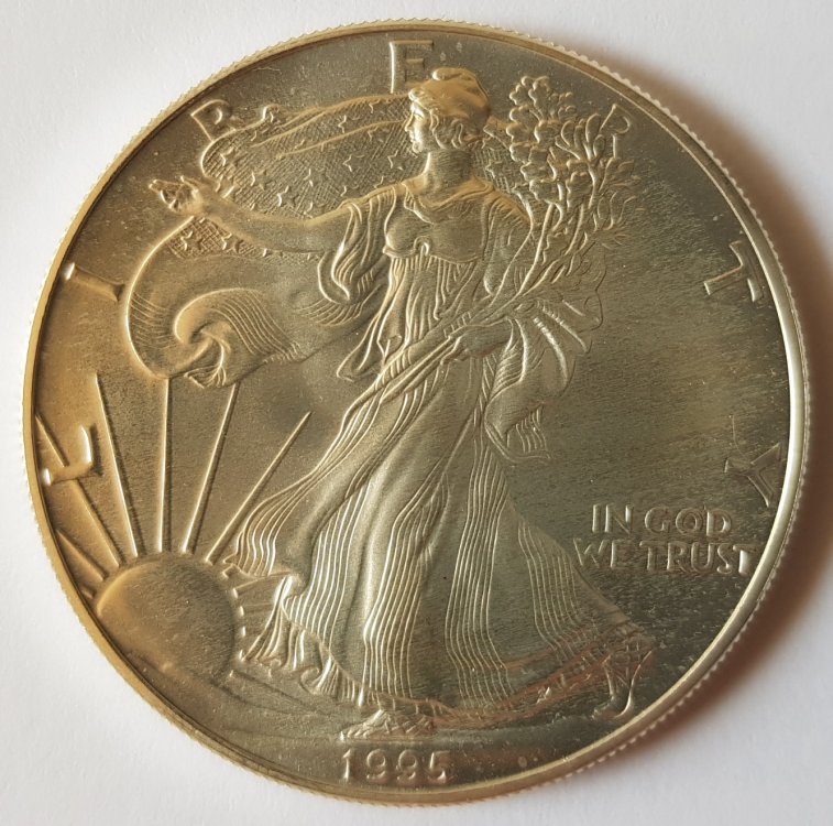 309723697_USA1dollarR.thumb.jpg.e48cf57c806bfa7b625dffa26fe6216f.jpg