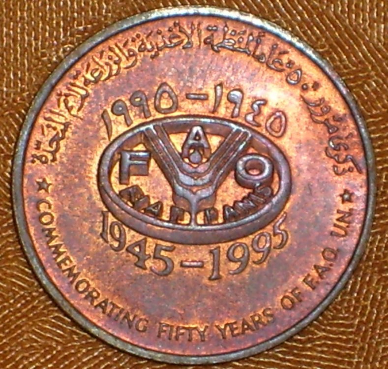 Oman 10 baisa 1995 _r .JPG