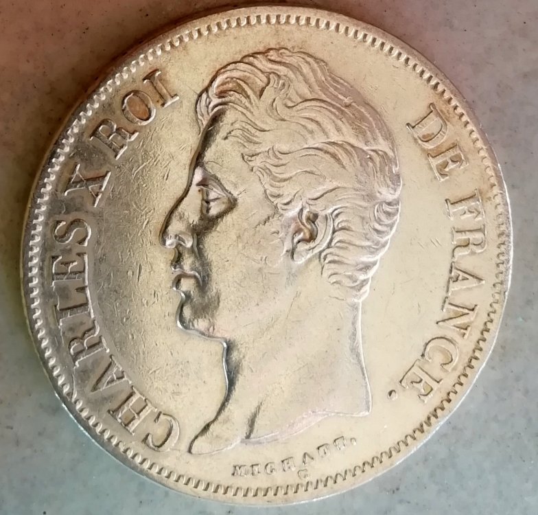 5_franchi_d.jpg
