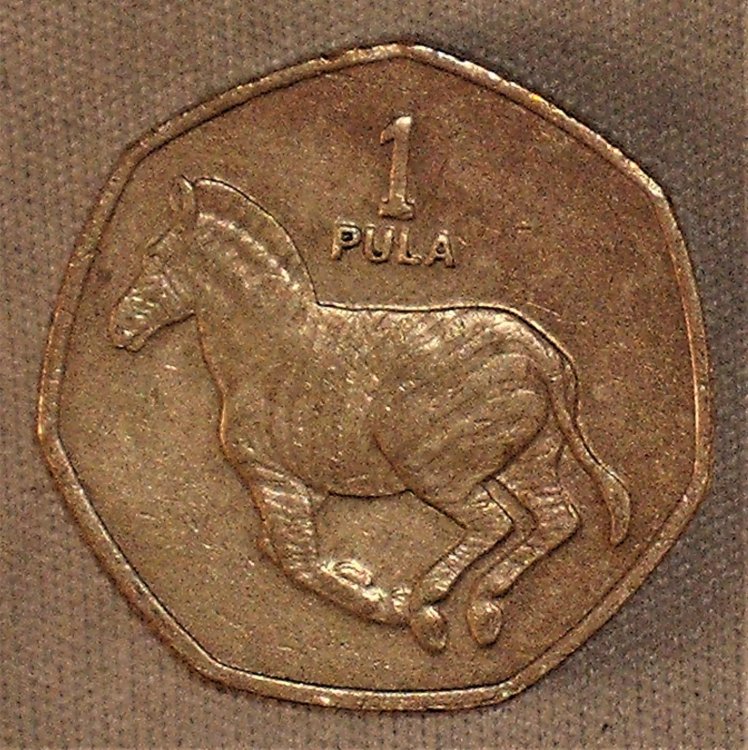 1 pula 2007 r.JPG