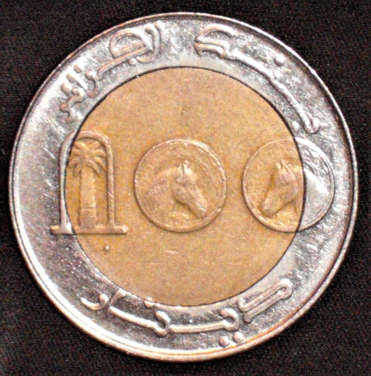 100 dinar 2011 d.JPG