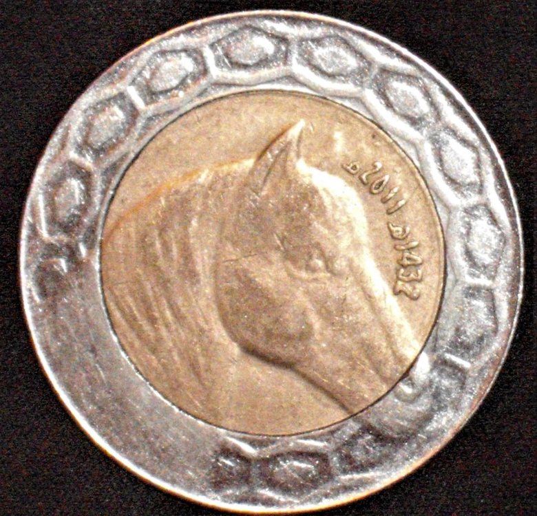 100 dinar 2011 r.JPG