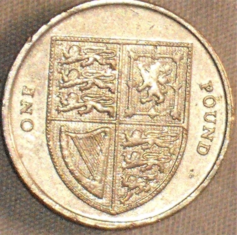 1 pound 2008 r.JPG