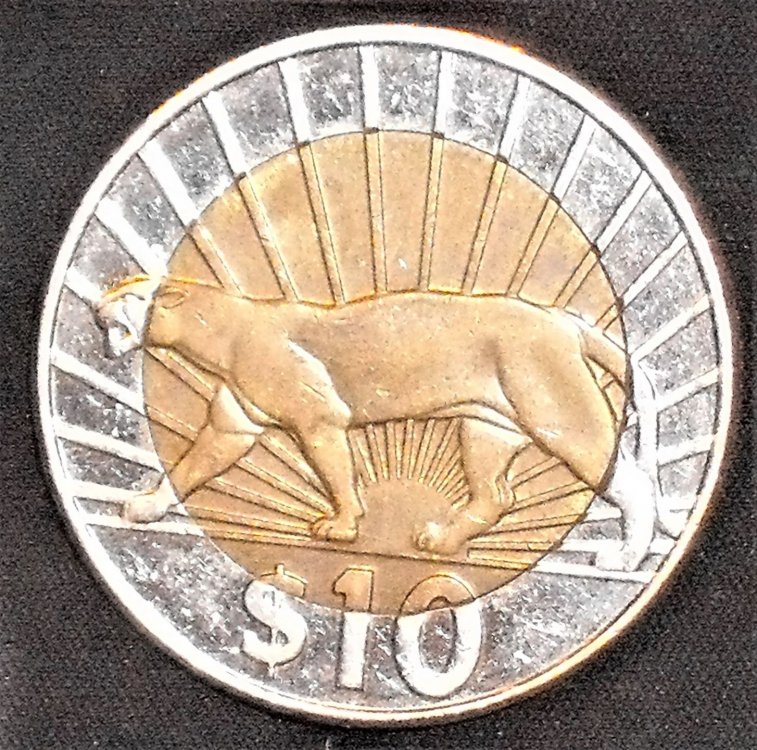10 pesos 2011 r.JPG