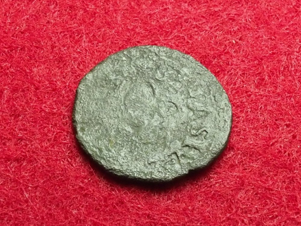 PA298385_z.jpg
