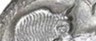 image.png.9e6b7f12dc2e45170d5d1364e40fb9d2.png
